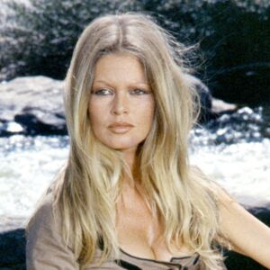 search image 2 Biographie de Brigitte Bardot, Âge, Taille, Poids et Valeur Nette 2