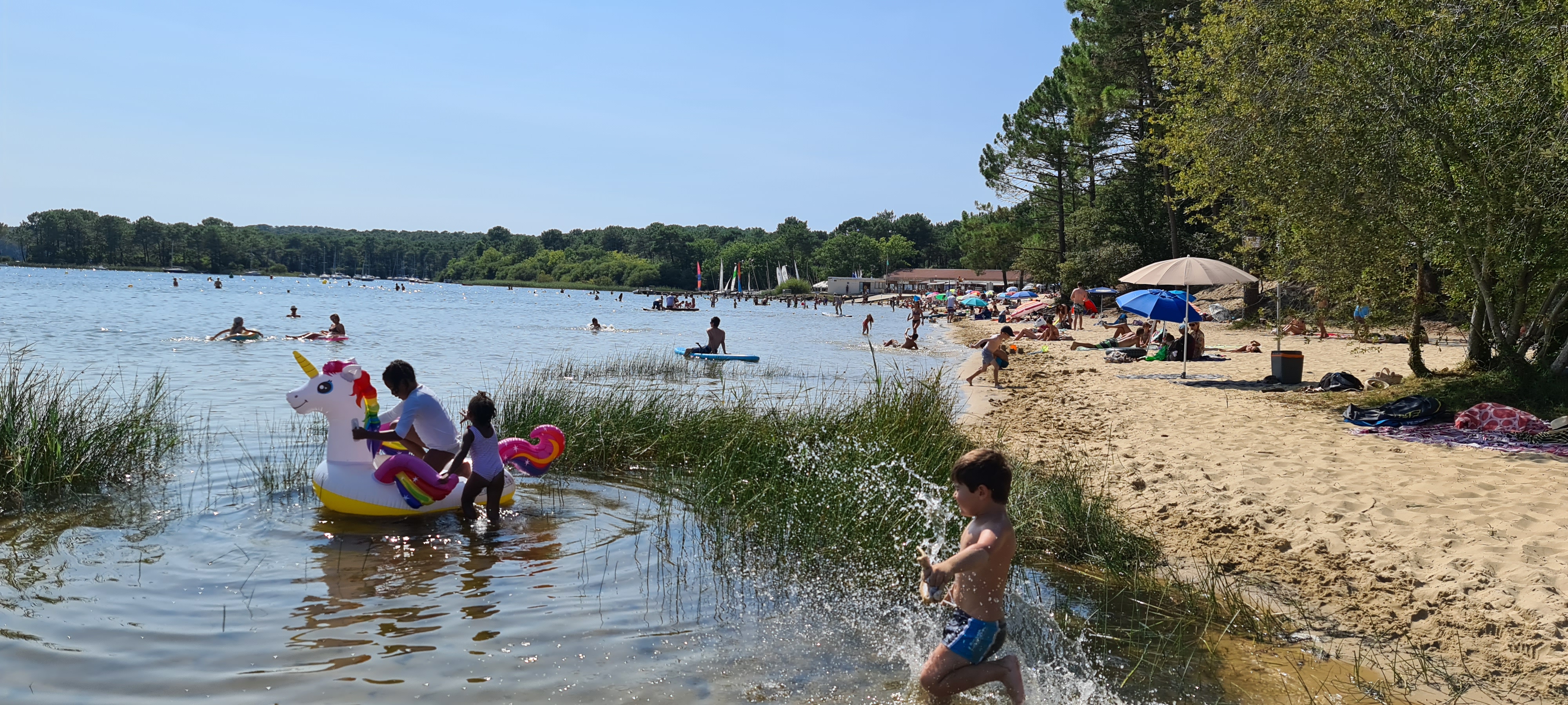 Baignade Biographie Age Taille Poids et Fortune