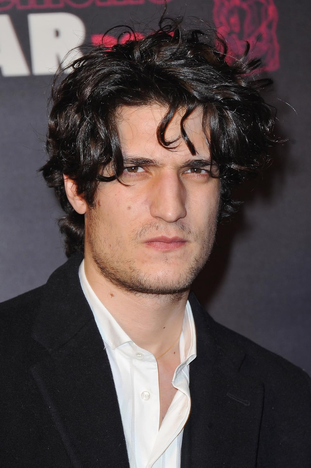 search image 2 Louis Garrel Carrière, Récompenses et Activités 2